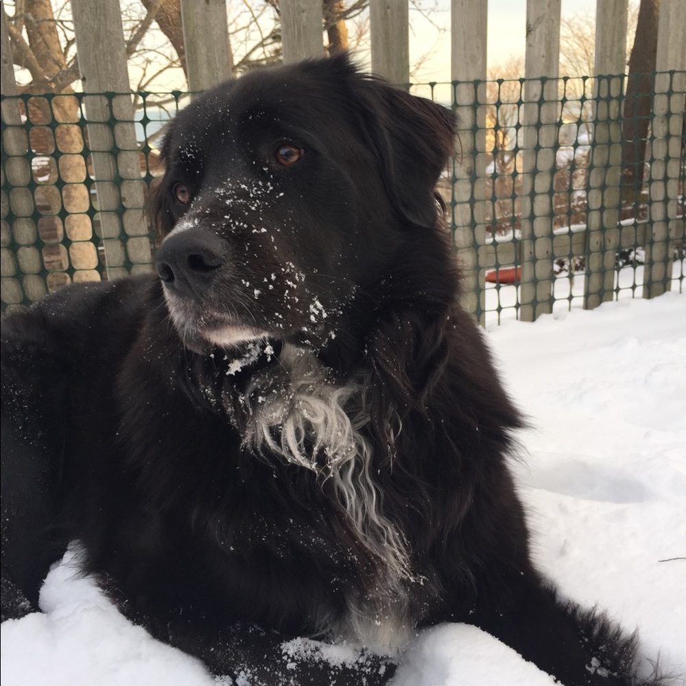 Meet your Posher, Claire